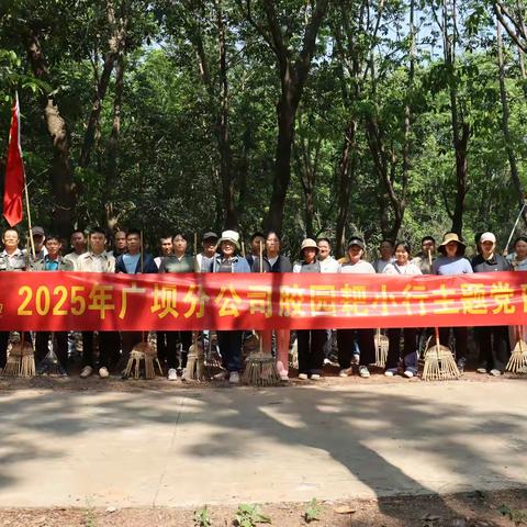 广坝分公司开展“胶园耙小行”主题党日活动