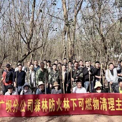 党建引领护林防患 志愿清障筑牢防线——广坝分公司开展森林防火林下可燃物清理主题党日活动