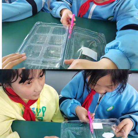 播种希望   收获成长——丛台区外国语小学四年级清明节跨学科种植活动