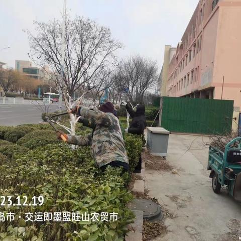 【即墨园林】加强园林精细化管理 不断提升城市“颜值”