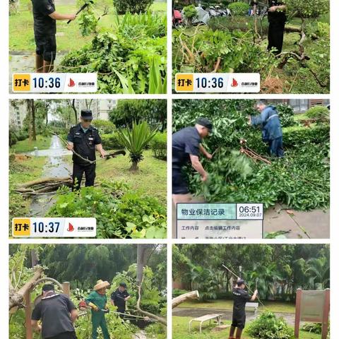 风雨同舟，齐心协力 他们迅速恢复家园容貌