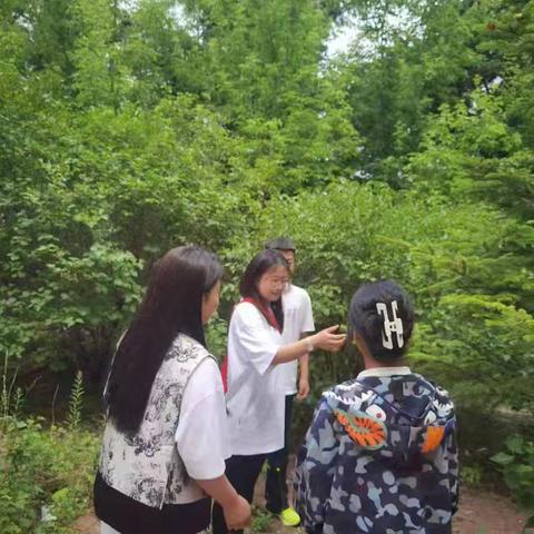 “五走进”社会实践活动——新生乡中心学校五领峰研学活动纪实