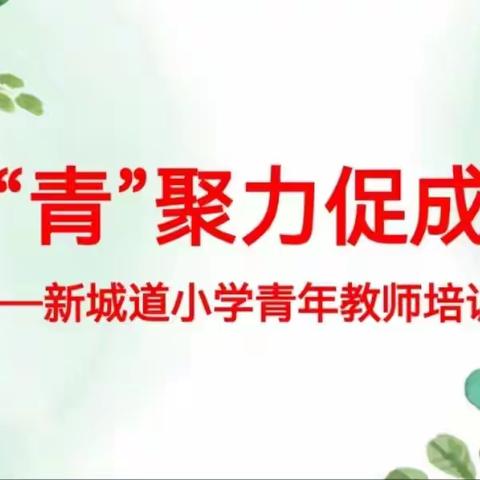 凝“青”聚力促成长  — 新城道小学青年教师培训交流会纪实