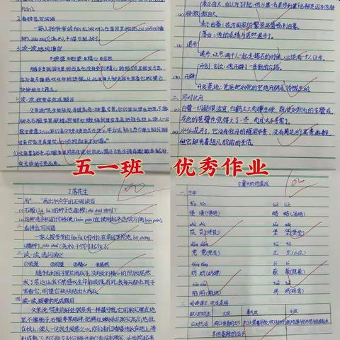展优秀作业 品智慧师评 ——八一小学优秀作业展