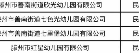 善南幼教中心民办园质量提升正当时——滕州市教体局对善南幼教民办园2023年度省三类幼儿园认定验收