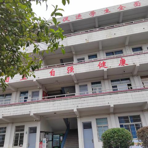 六一游贵州 文/郑晓英