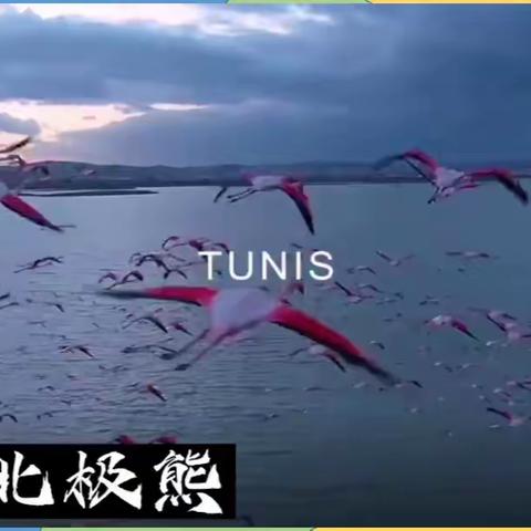 突尼斯的地理位置