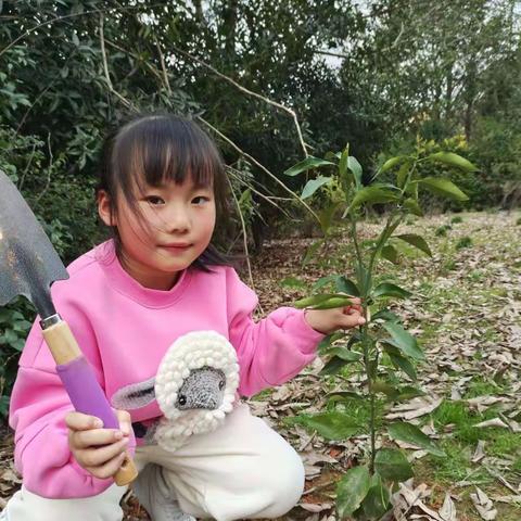 手植一抹绿 心伴共成林——“植树节”主题教育活动