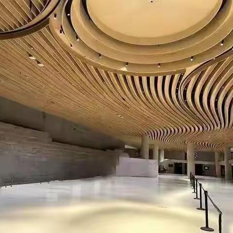 画家刘大禹参加法国卢浮宫国际艺术展