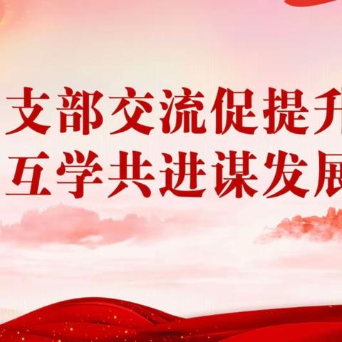 支部交流促提升  互学共进谋发展 ———记莲花县教育系统基层党组织观摩交流活动