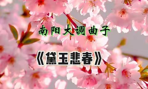 南阳大调曲子《黛玉悲春》(红楼曲)，国家非遗，理应传承！