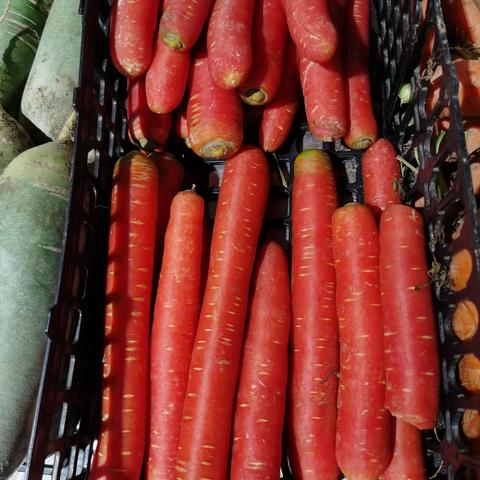 i购生鲜超市1月2日菜品2