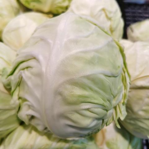 1月19日部分菜品实拍展示