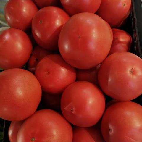 9月1日部分菜品实拍