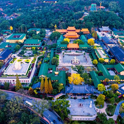 庐山东林寺，千年银杏披金甲。