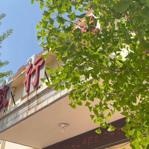 新乐市化皮学校宣传片