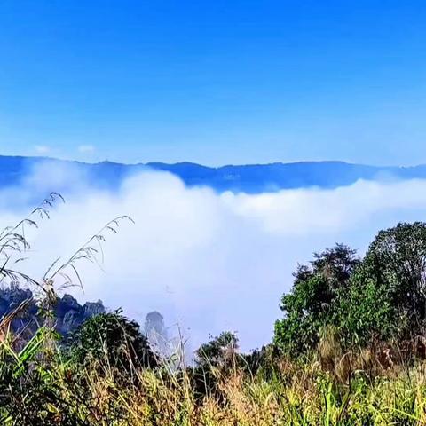 西双版纳的月光寨、南糯山……