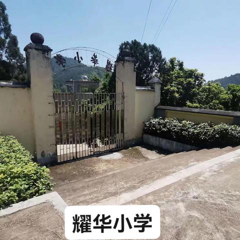 探索耀华小学的自然之美