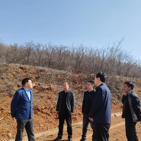 深化林长制  促进“林长治” --县领导到盐镇乡开展巡林工作