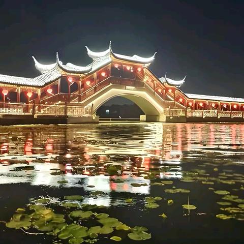锦溪夜月：故乡桥影里的水乡诗意