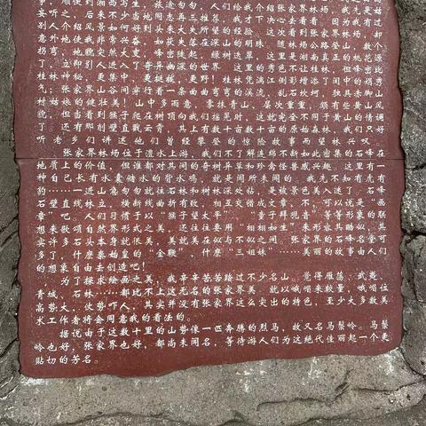 张家界六日游第二天（5🈷️24日）