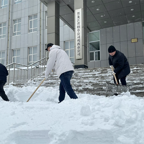 清冰雪烟草人在行动 志愿服务我们暖人心 全市烟草行业开展清冰雪活动