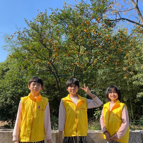 童心向自然 采摘乐翻天——洞口村阳光驿站主题活动纪实