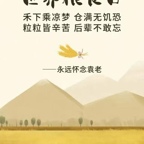 “粮"辰美景,不负“食"光 --郾城区东街幼儿园世界粮食日主题活动