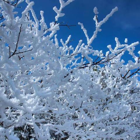 【和润安全】 开封大学附属小学关于防范低温雨雪天气致全体师生及家长的一封信（副本）