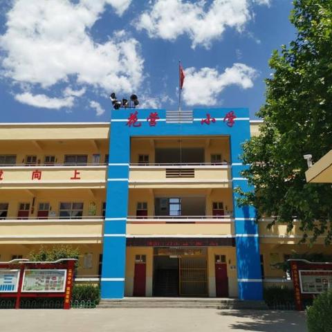 “与书同行 阅见美好” ——花营小学整本书阅读活动阶段小结