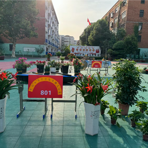 时光不语，成长有迹—801班