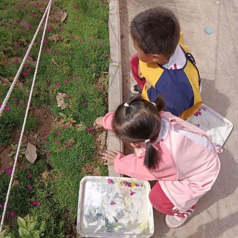 布里生花——捶草印花          陕州区中心幼儿园中四班