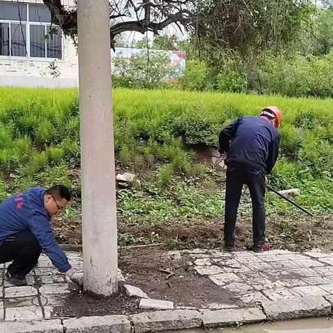 一加工车间修整道路两旁杂草