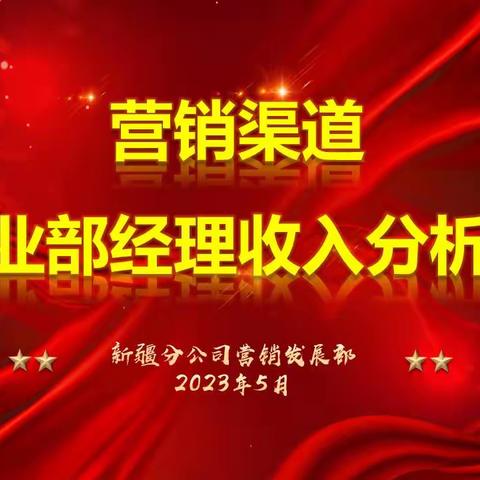 新疆分公司召开营销渠道营业部经理收入分析会