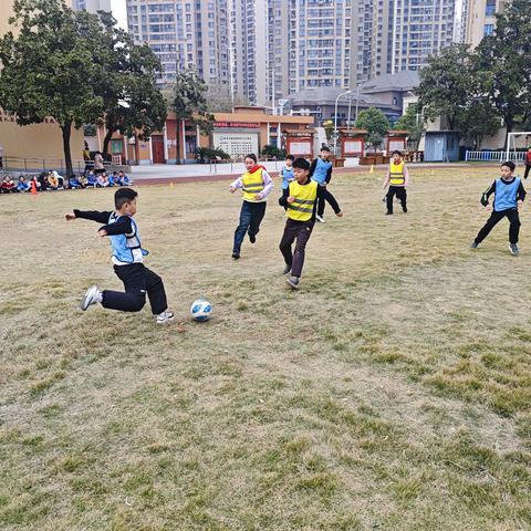 灵蛇领航 梦启新程 ——2024年陈家墩学校庆祝元旦活动侧记