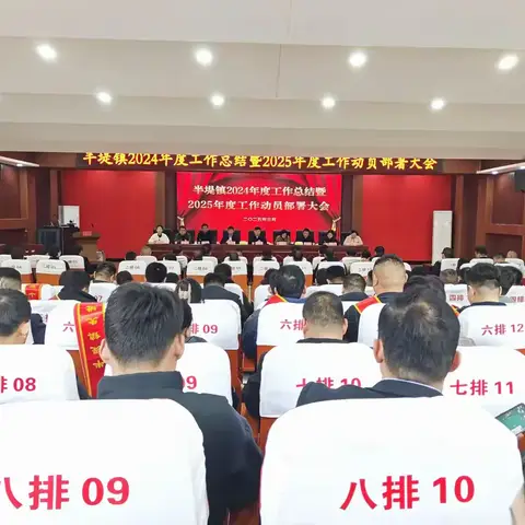 3月15日，半堤镇召开2024年度工作总结暨2025年度工作动员部署大会