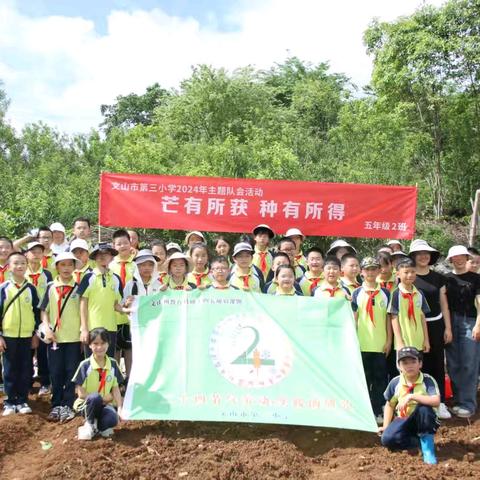 芒有所获  种有所得  ——文山市第三小学五年级2班开展芒种节气主题队会活动