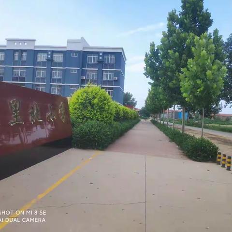 平舒镇魏里北小学联校教研活动