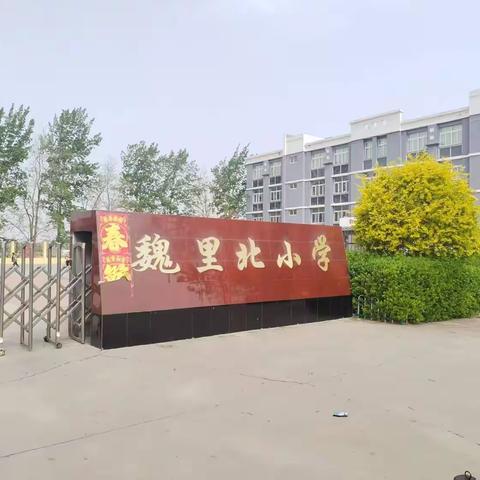 提升安全意识，共建平安校园——大城县平舒镇魏里北中心小学消防防火防震演练纪实