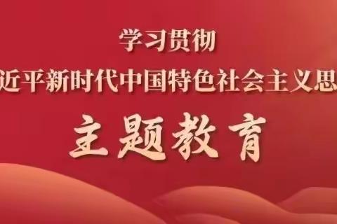 “服务群众办实事，履职尽责解民忧”——实验一小党支部开展2023年第十一个党员主题活动日