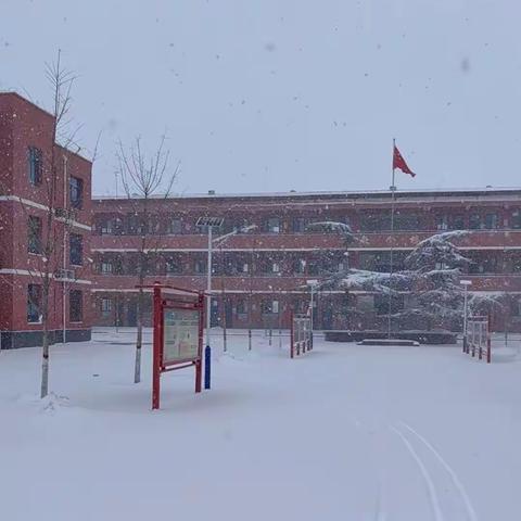 暴雪来临，线上教学为梦想加温——永年区第十七中学八年级教学纪实