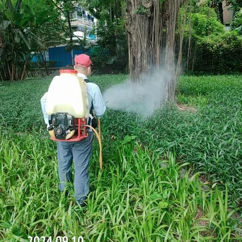 【福田爱卫】华强北街道：2024年9月10日，日常组织病媒生物防治工作。控制四害密度，为降低登革热