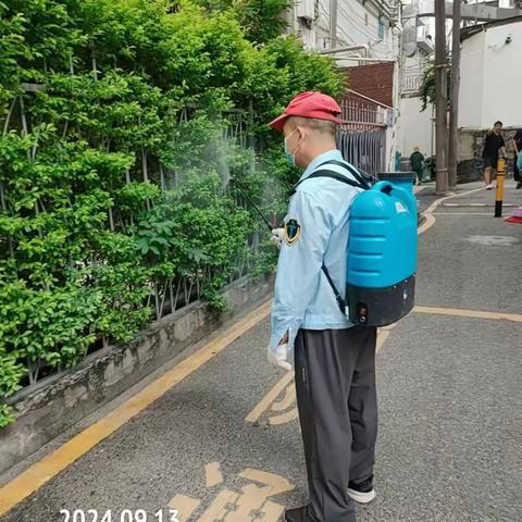 【福田爱卫】华强北街道：2024年9月13日，日常组织病媒生物防治工作。控制四害密度，为降低登革热