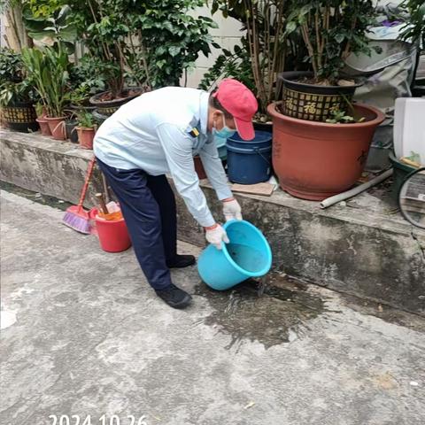 【福田爱卫】华强北街道：2024年10月26日，日常组织病媒生物防治工作。控制四害密度，为降低登革热