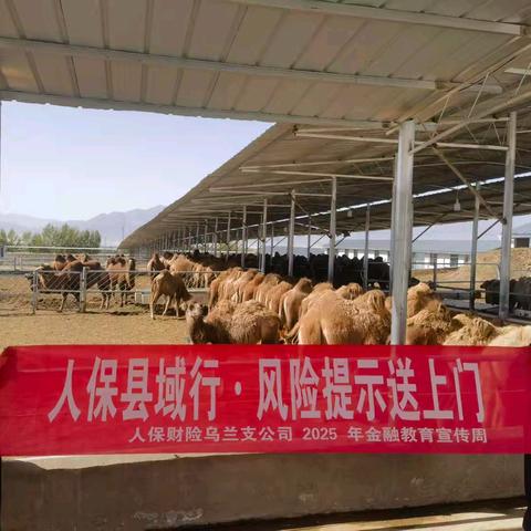 人保财险乌兰支公司2025年金融教育宣传周 人保县域行 “风险提示送上门”