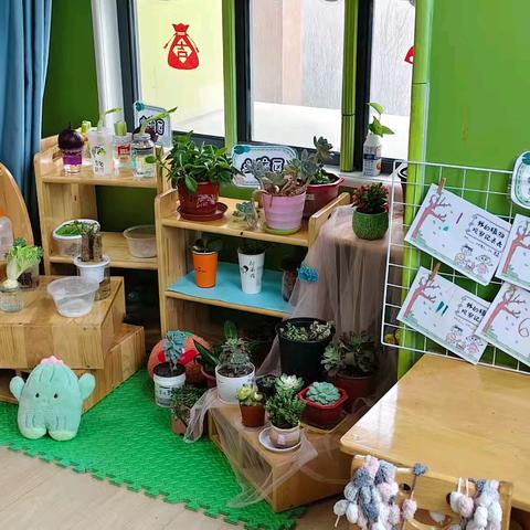 龙抬头迎新生，植树节育绿意‖正定新区第二幼儿园植物角建设纪实（第一期）