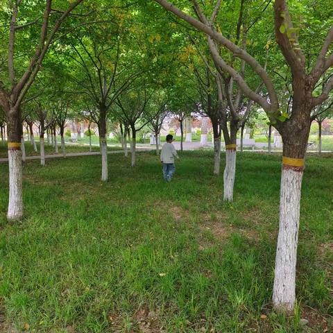 “寻秋日之美，践少年之行”——正定镇北贾村小学六年级假期实践活动纪实