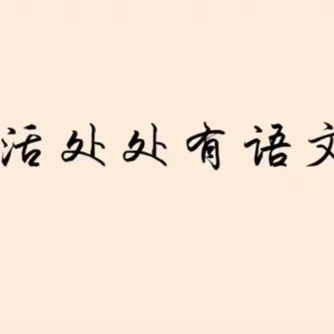 “语”众不同，精彩绽放----安集海镇中心学校一二年级语文特色作业展示