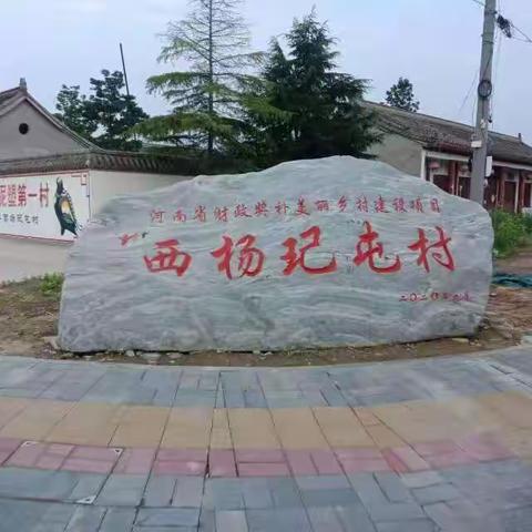 “拆改栽画”四提升，美丽村庄颜值增——西杨玘屯村持续开展人居环境整治工作