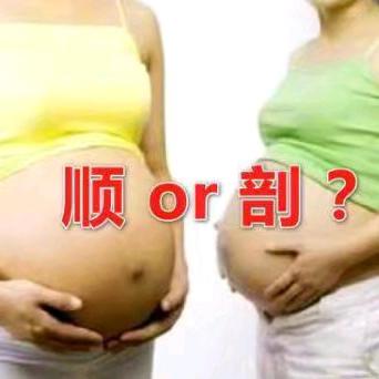 【孕妇学校课程预告】